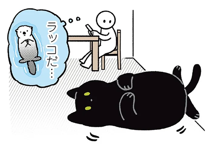 ラッコみたいでかわいい！黒猫ろんのシャッターチャンスを狙う飼い主／黒猫ろんと暮らしたら3（4）