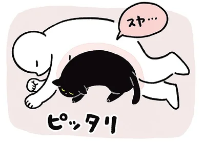 ピッタリ