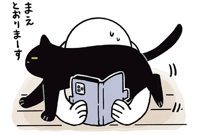 まえとおりまーす