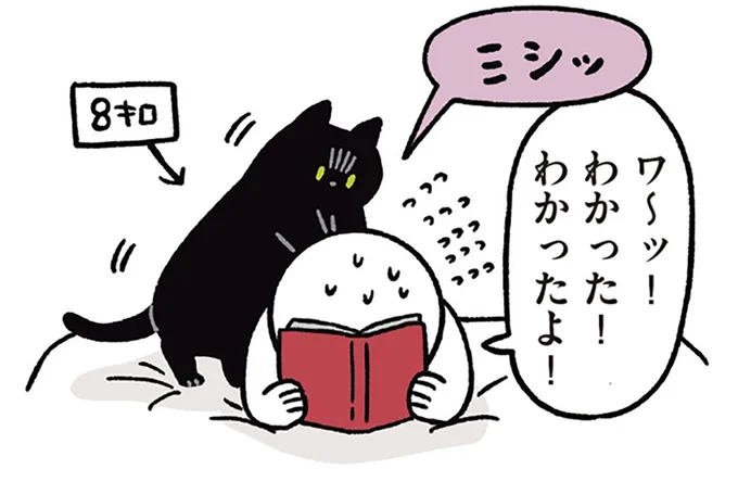 わかった!わかったよ!