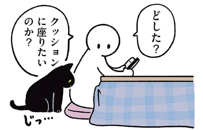 クッションに座りたいのか？