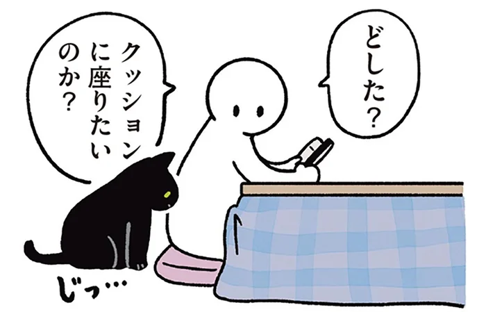 クッションに座りたい黒猫ろん。平和的に解決した飼い主の提案とは／黒猫ろんと暮らしたら3（10）