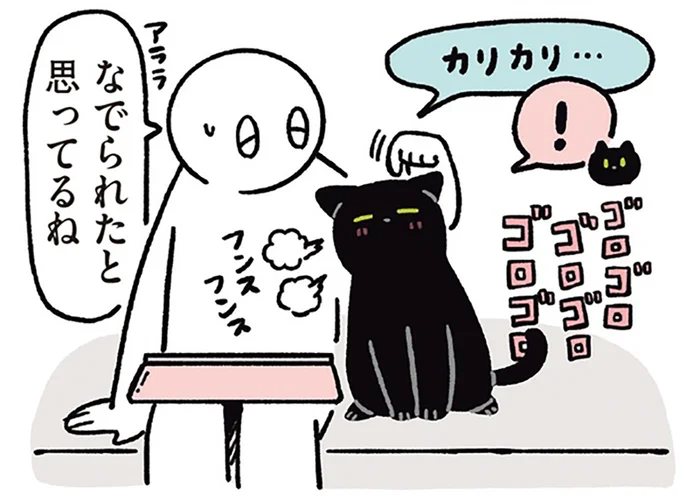 なでられてうれしい〜！何事もポジティブにとらえる黒猫ろん／黒猫ろんと暮らしたら3（11）