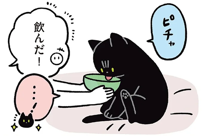飲んでくれればなんだっていい！黒猫ろんに水を飲ませたい飼い主の献身／黒猫ろんと暮らしたら3（12）