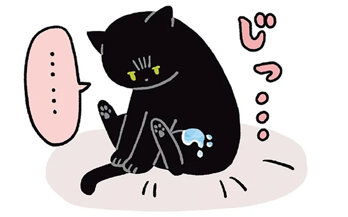 飲んでいた水が体にピシャッ！黒猫ろんが浮かない表情で飼い主を見たわけ／黒猫ろんと暮らしたら3（13）