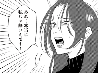 私じゃ無いんです！