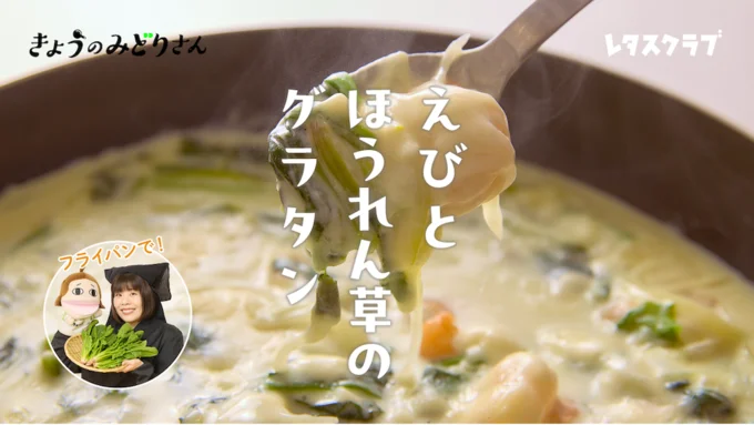 きょうのみどりさんのテーマは「えびとほうれん草のグラタン」