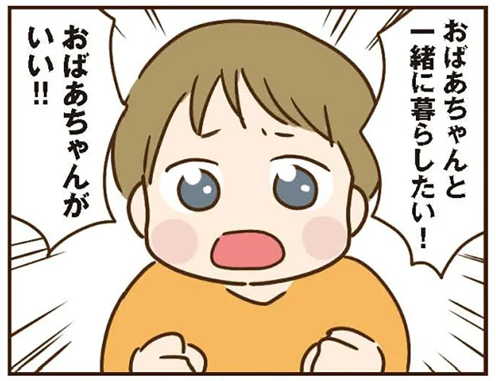 捏造された虐待疑惑。息子が連れて行かれてしまう!?／家族を乗っ取る義姉と戦った話（13）