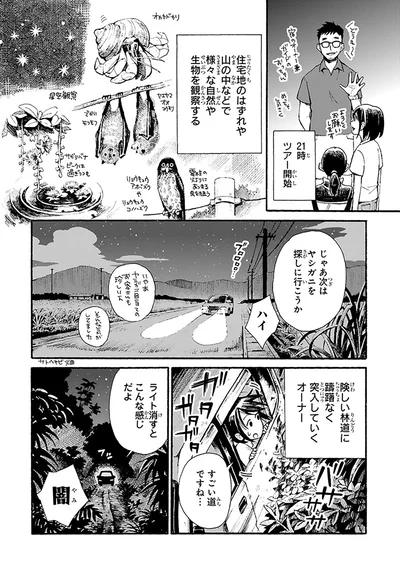 21時ツアー開始