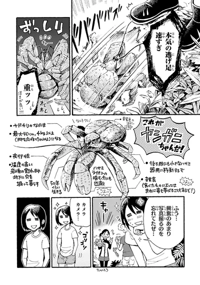 これがヤシガニちゃんだ！