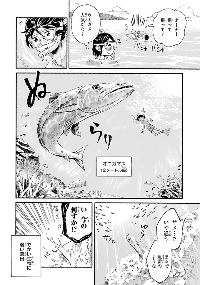 サメ...！？いや違う