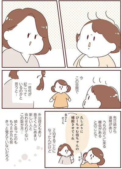 姉と会ったのももう8か月も前