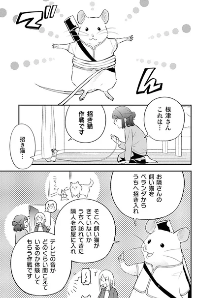 招き猫作戦です