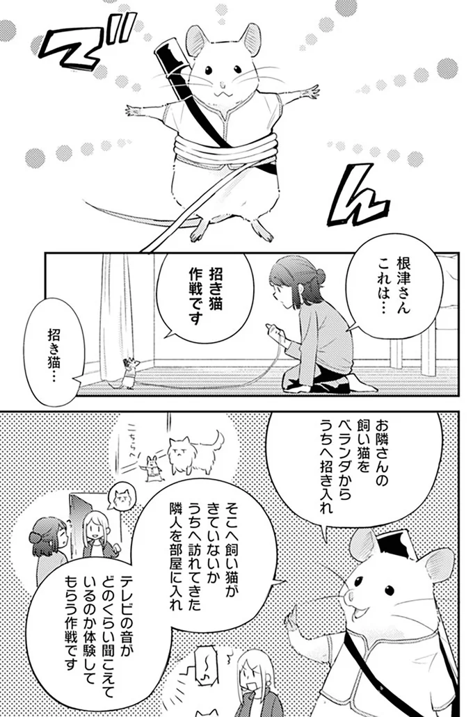 招き猫作戦です