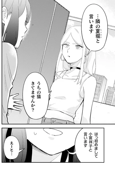 うちの猫きてませんか？