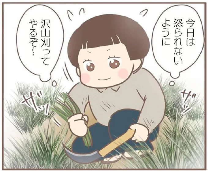 今日は怒られないように沢山刈ってやるぞ~