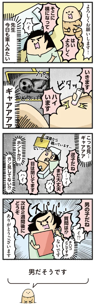 先生今日も軍人みたい