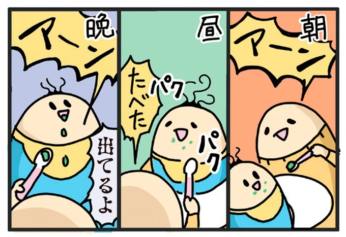 朝昼晩