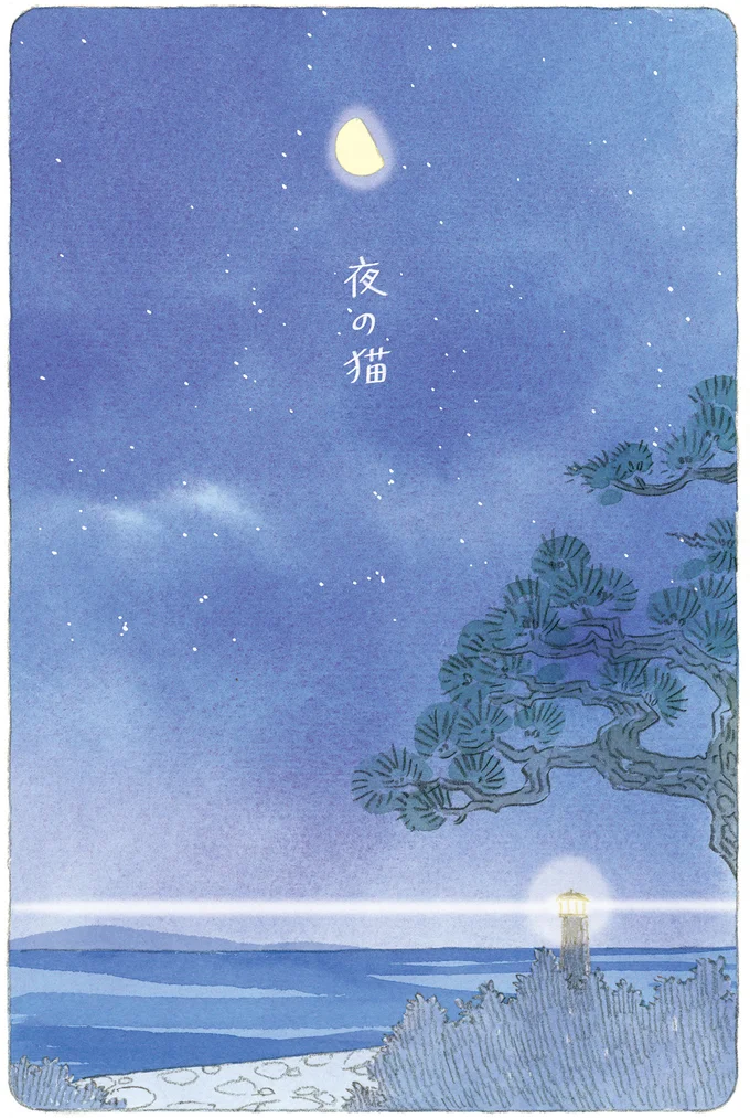 夜の猫