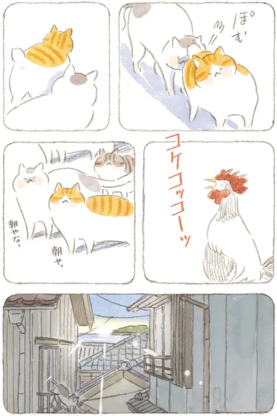 朝やなっ