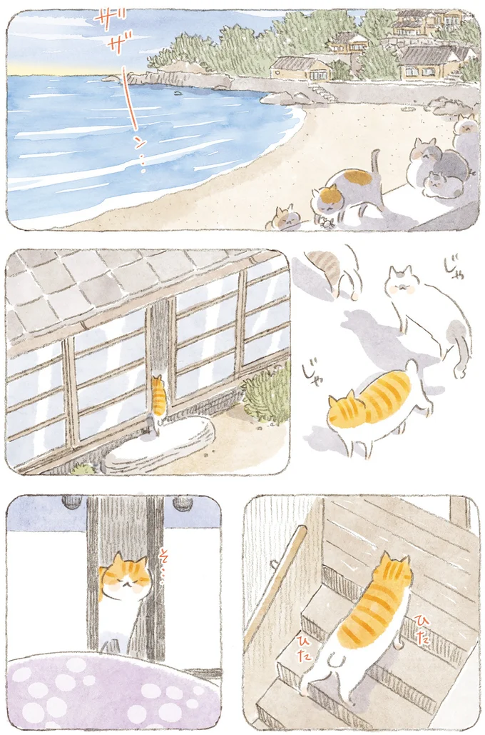 ひたひた