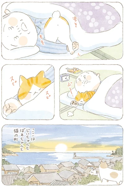 ここはじいちゃんとばあちゃんと猫の町