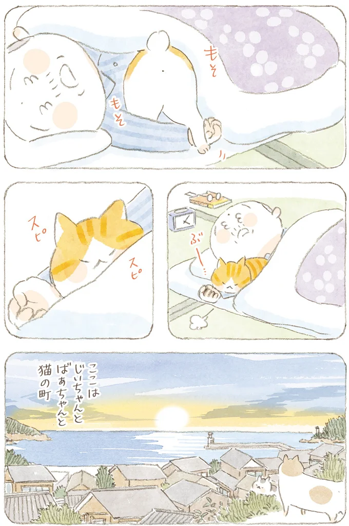 ここはじいちゃんとばあちゃんと猫の町