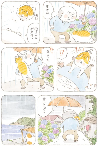 『ねことじいちゃん11』より