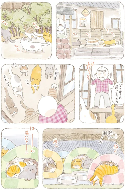 『ねことじいちゃん11』より