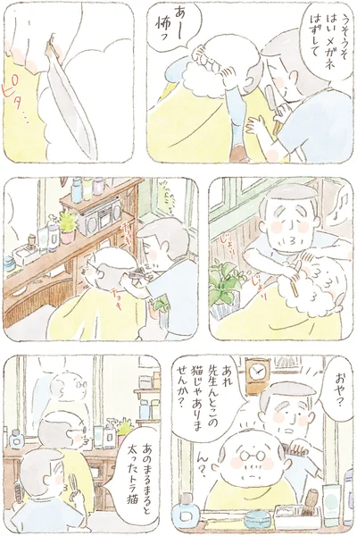 あのまるまると太ったトラ猫