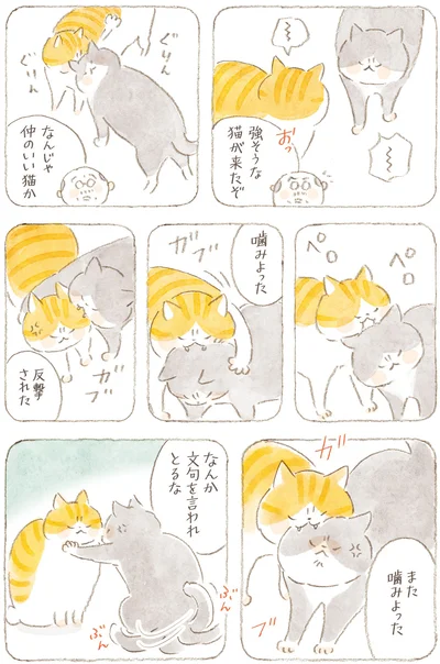 噛みよった