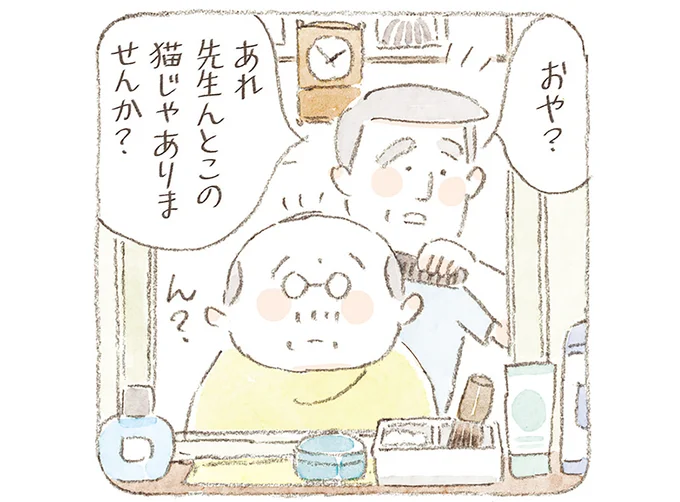 あれ先生んとこの猫じゃありませんか?