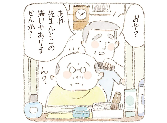 「先生のとこの猫じゃありません？」外で見かけたご機嫌な島の猫たち