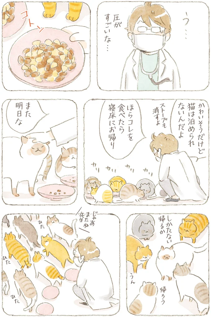 しかたない帰るか