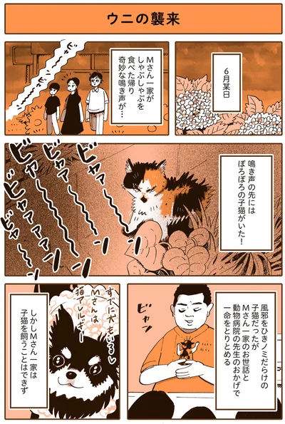 一命をとりとめる