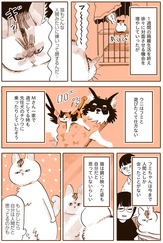 遊びたくて仕方ない