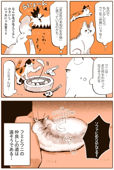 まだ何もわかってなさそうだな