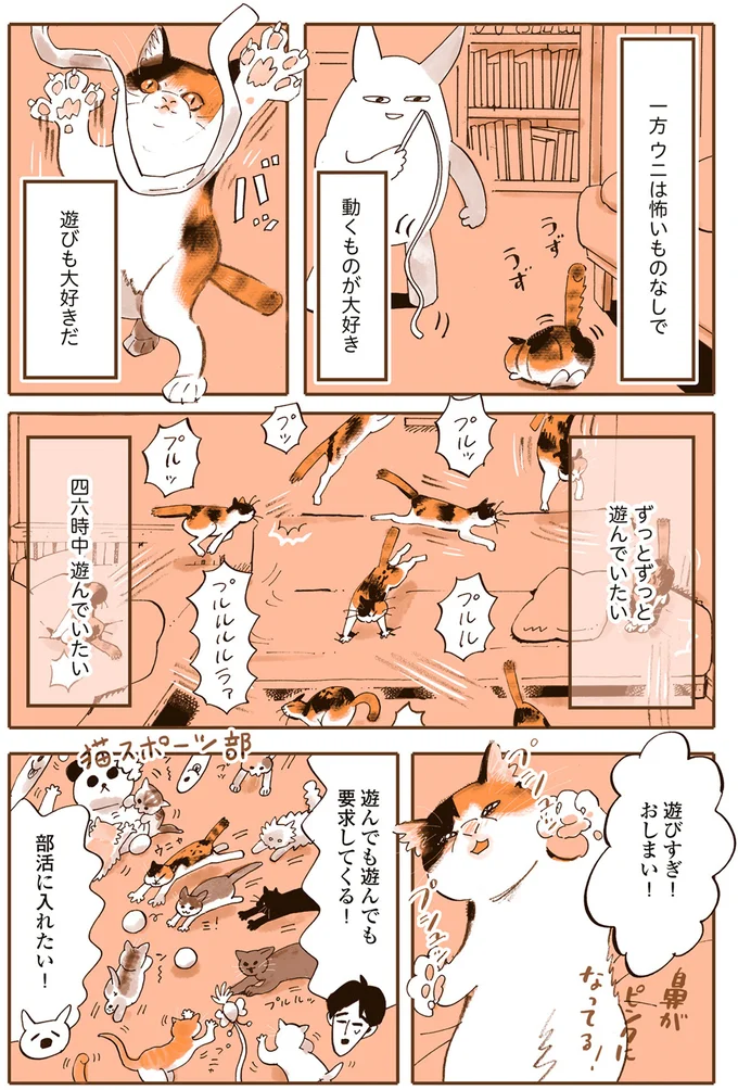 ウニは怖いものなし