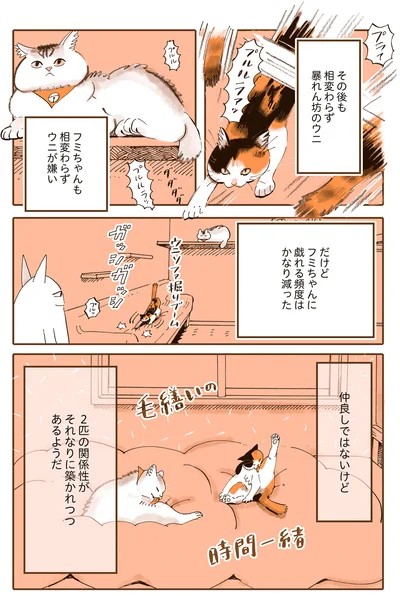 仲良しではないけど
