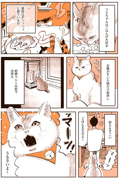 普段はずっっっっと寝ているが