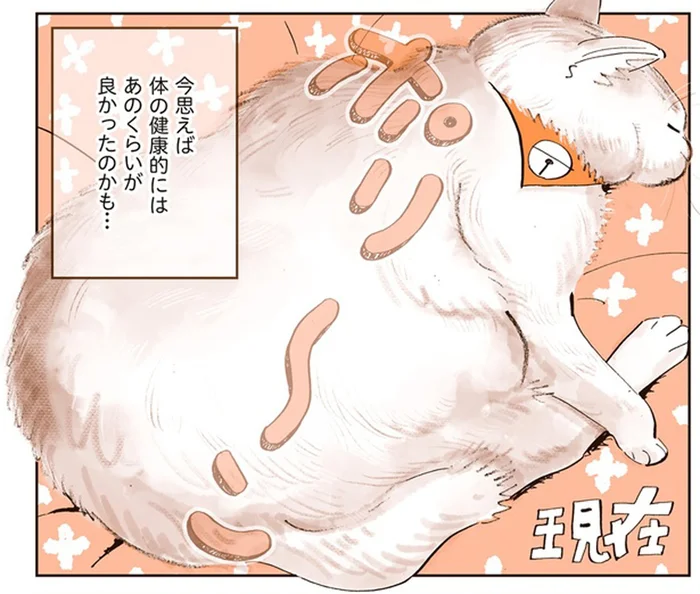 おなかがポヨンポヨン！ごはんが大好きなぽっちゃり猫のダイエット道／うちの猫は仲が悪い（4）
