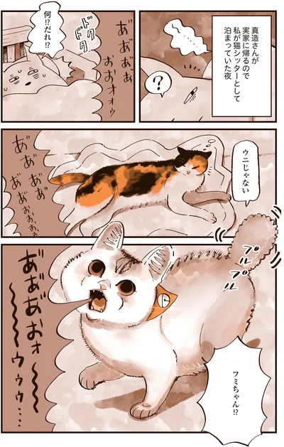 猫シッターとして泊まっていた夜