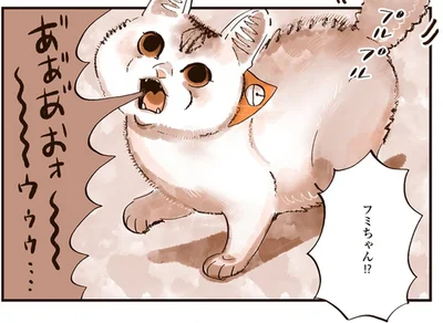 フミちゃん！？