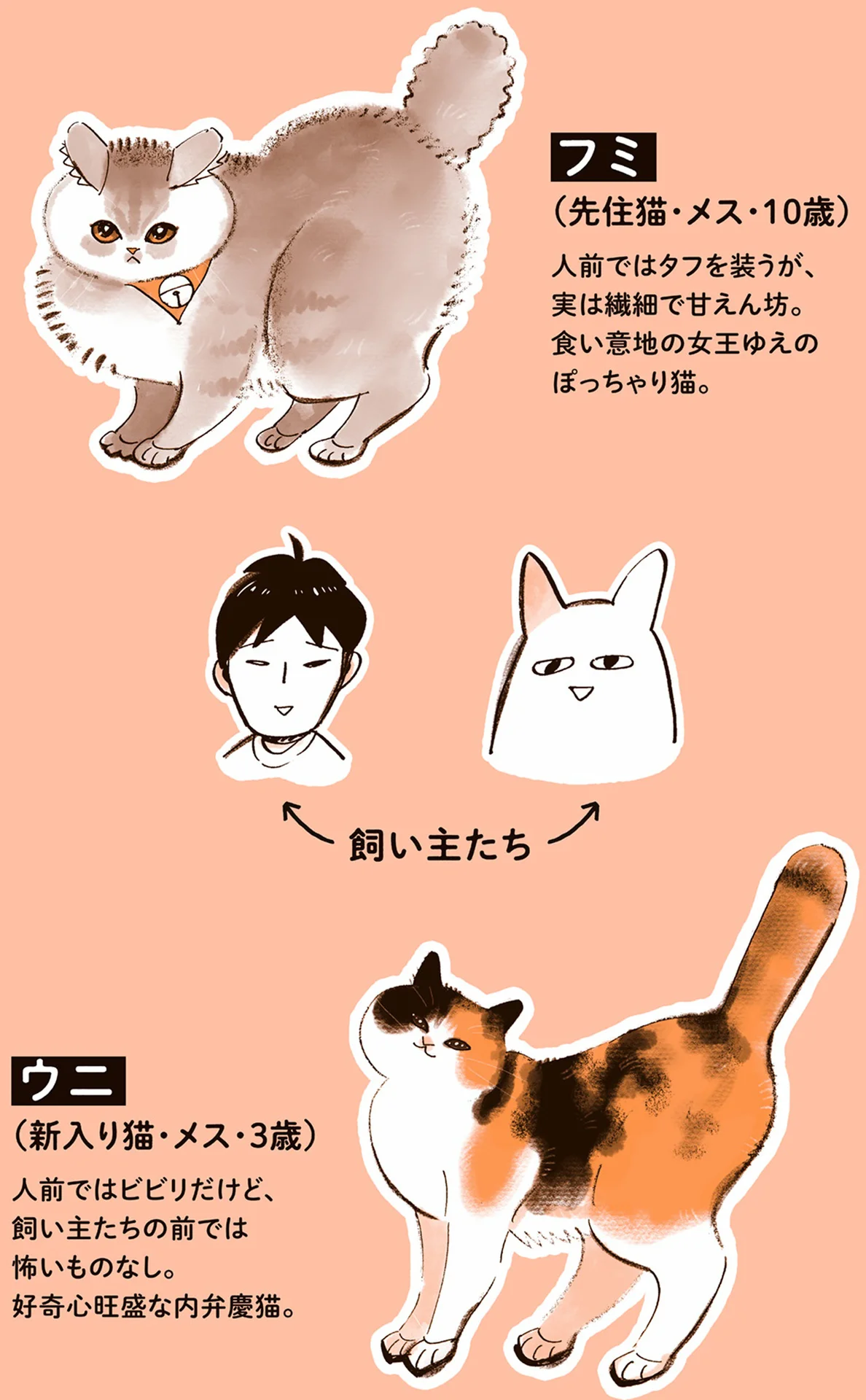 どっちもかわいい！来客と飼い主の前で表情が全然違う2匹の猫／うちの