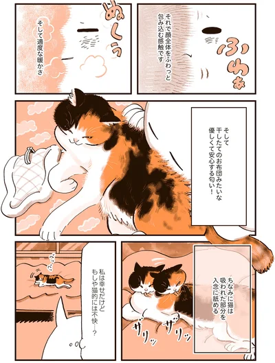 猫は吸われた部分を入念に舐める