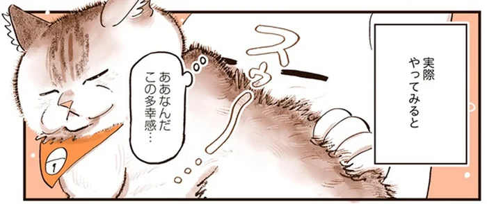 やってみるまで分からなかったけれど。「猫を吸う」至福の時間／うちの猫は仲が悪い（8）