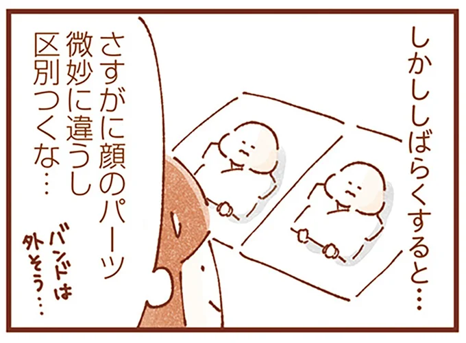 さすがに区別つくな…