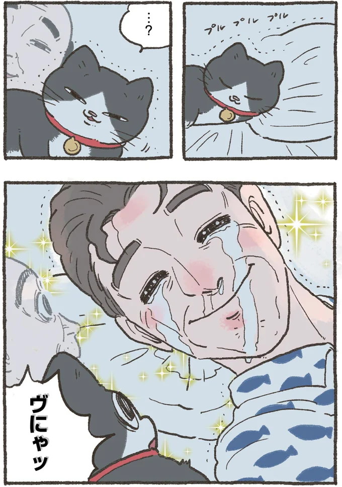 『ねこに転生したおじさん4』より