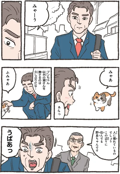 『ねこに転生したおじさん4』より