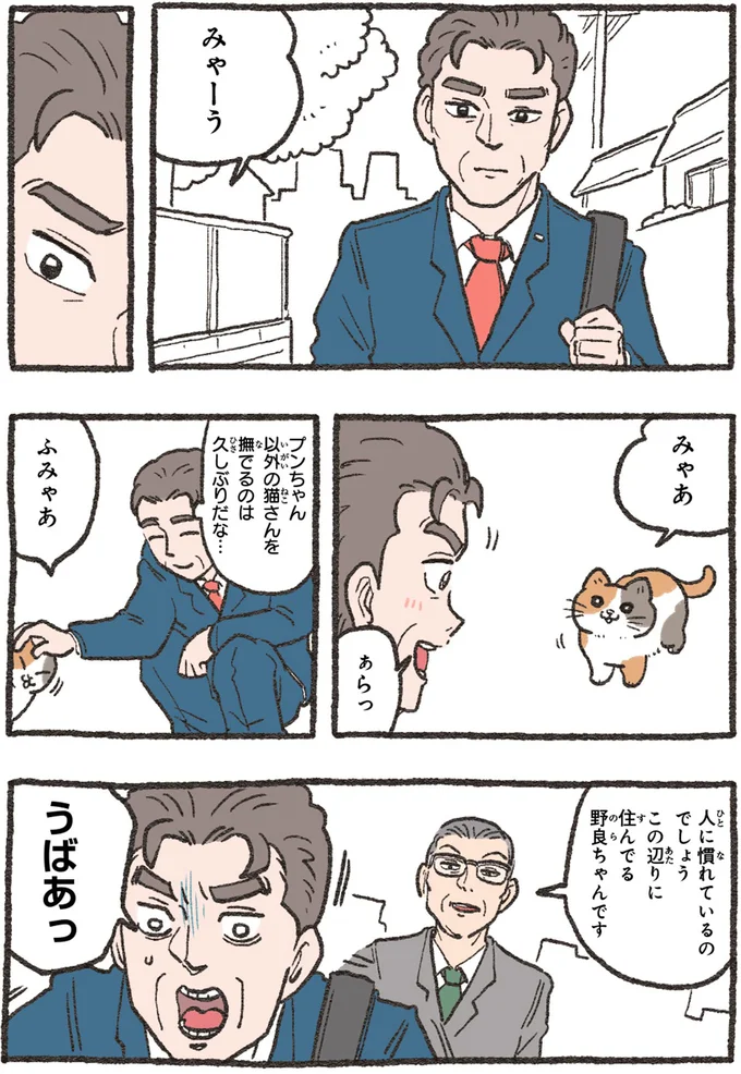 『ねこに転生したおじさん4』より